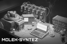 MOLEK-SYNTEZ MY (Malaysia)
